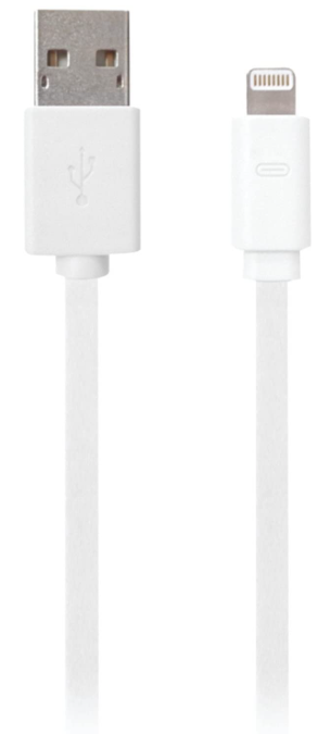 iessentials 6ft Lightning USB Braided Cable-White