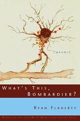 What's This, Bombardier? by Ryan Flaherty