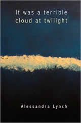 It was a terrible cloud at midnight, by Alessandra Lynch