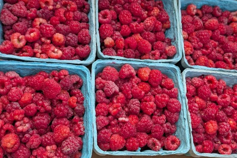 Haf Pint Raspberry Raspberries