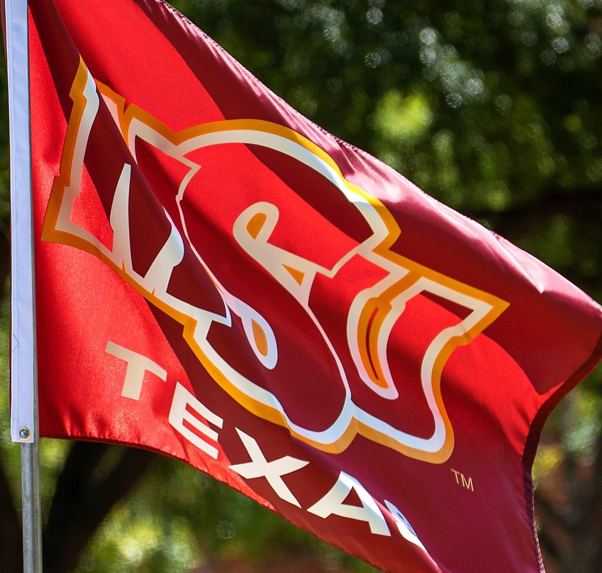 MSU Texas Flag (logo 1)