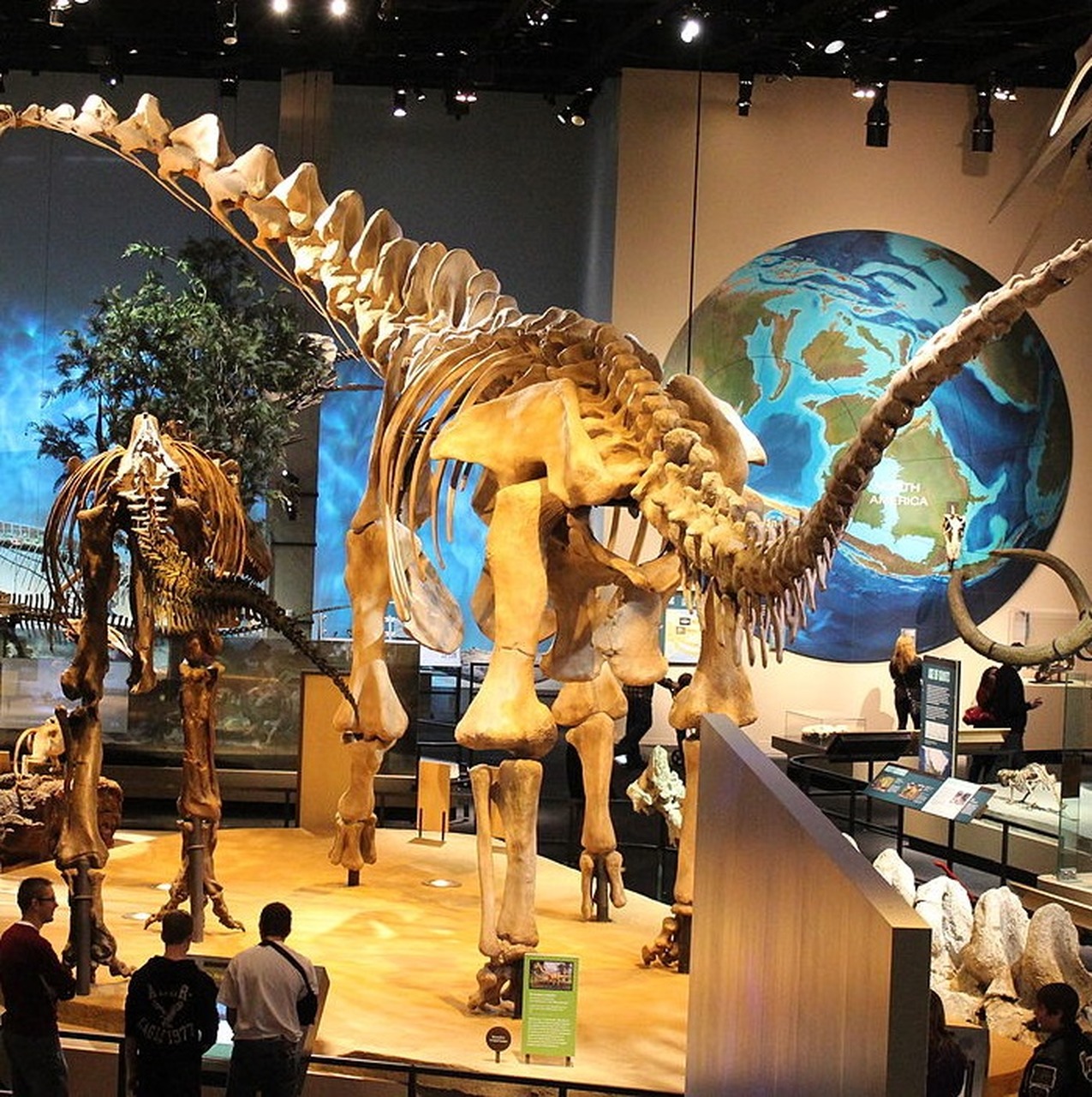 Perot Museum Day Trip June 29, 2022 Tickets