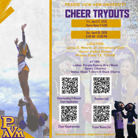 PV Cheer Tryouts
