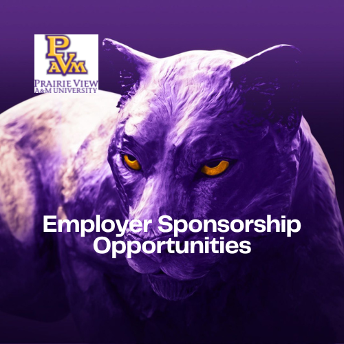 Employer Sponsorship Program