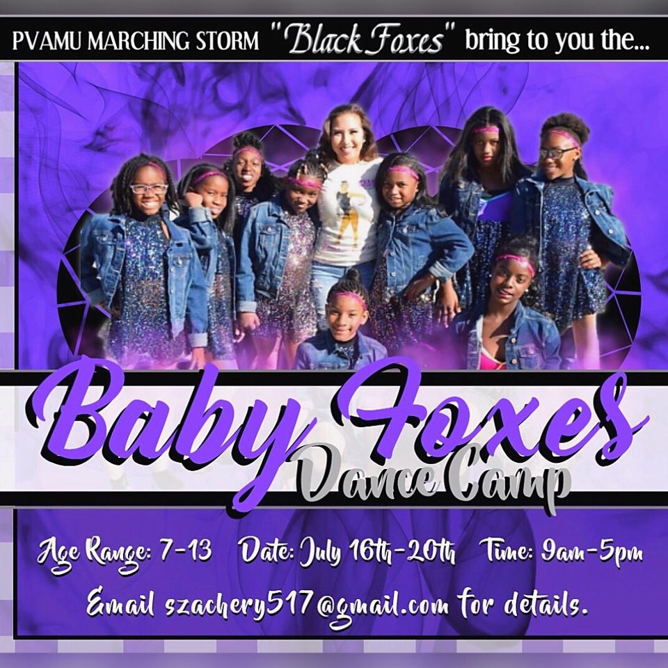 Baby Fox Dance Camp
