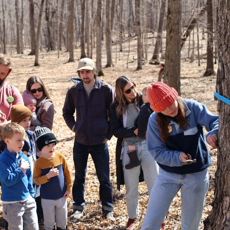 Maple Syrup Festival Registration