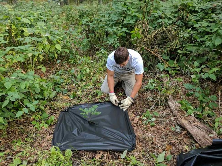 Abbey Forest Renewal Fund