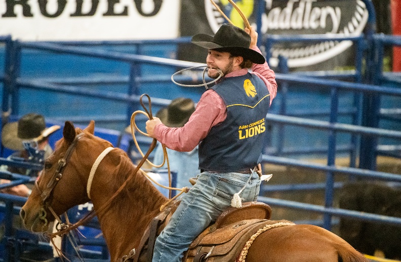 The Spur Horse Stall