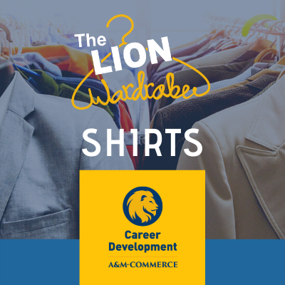 Lion Wardrobe - Shirt Payment