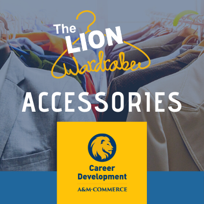 Lion Wardrobe - Accessories Payment