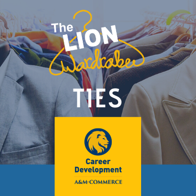 Lion Wardrobe - Ties Payment