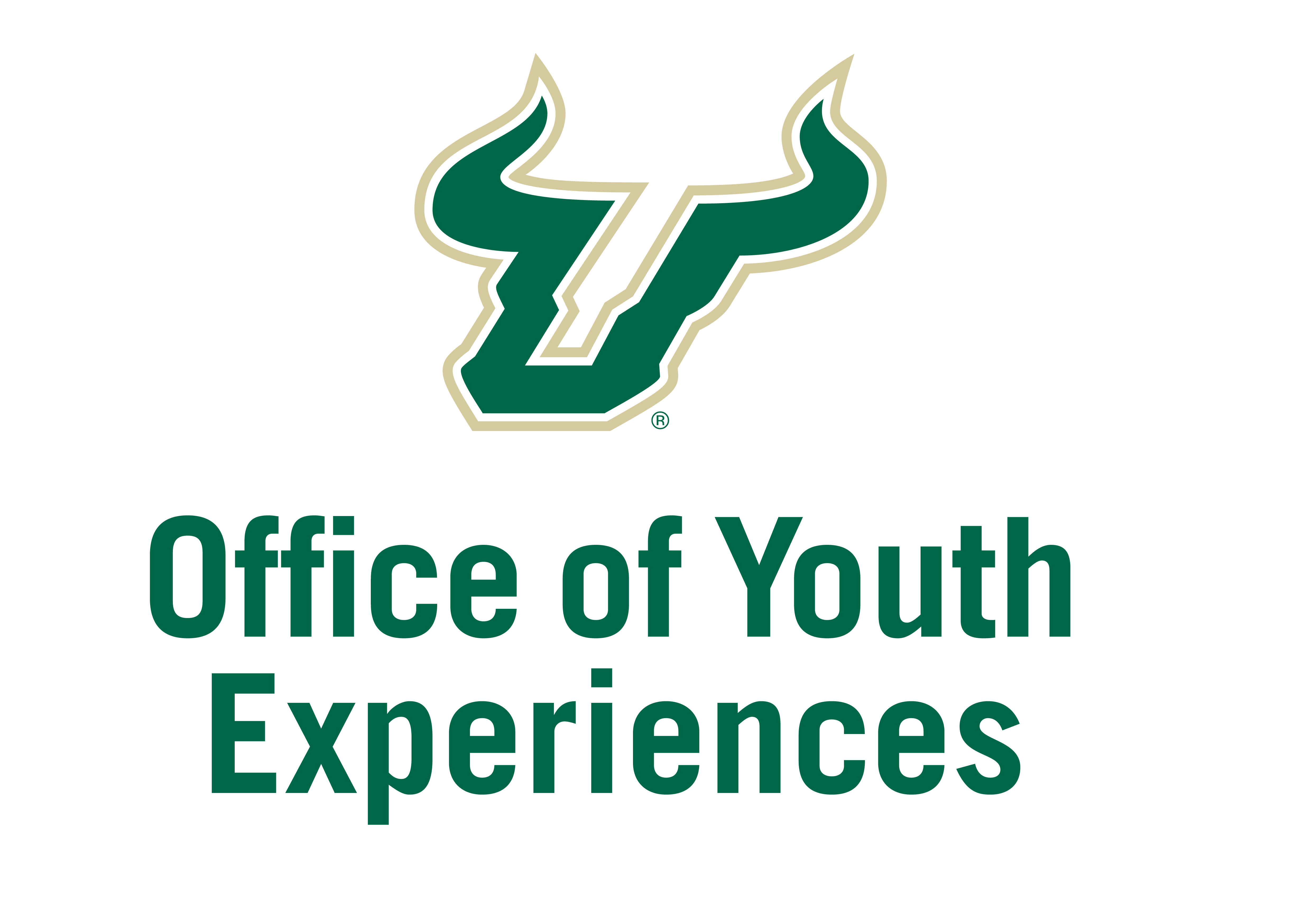 USF Youth Programming Registration