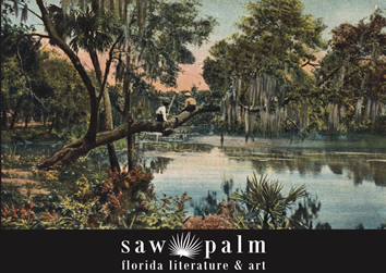 Saw Palm Volume 13