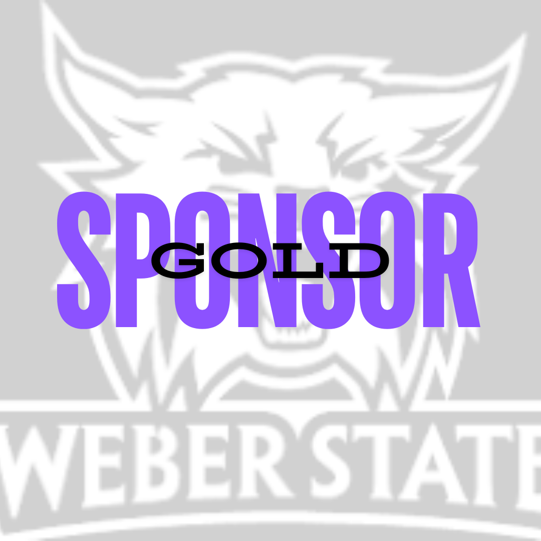 Level 3 - Gold Sponsor