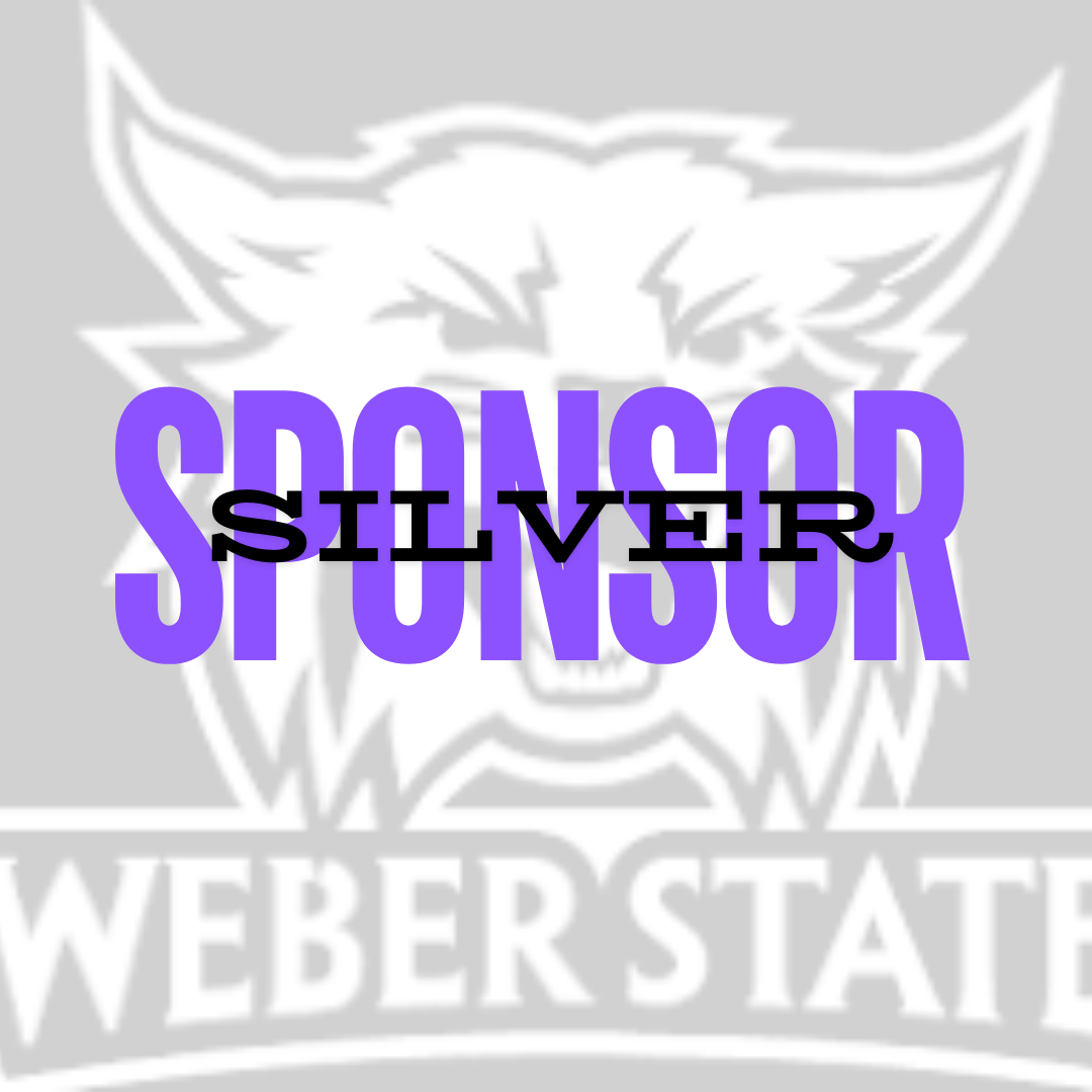 Level 2 - Silver Sponsor