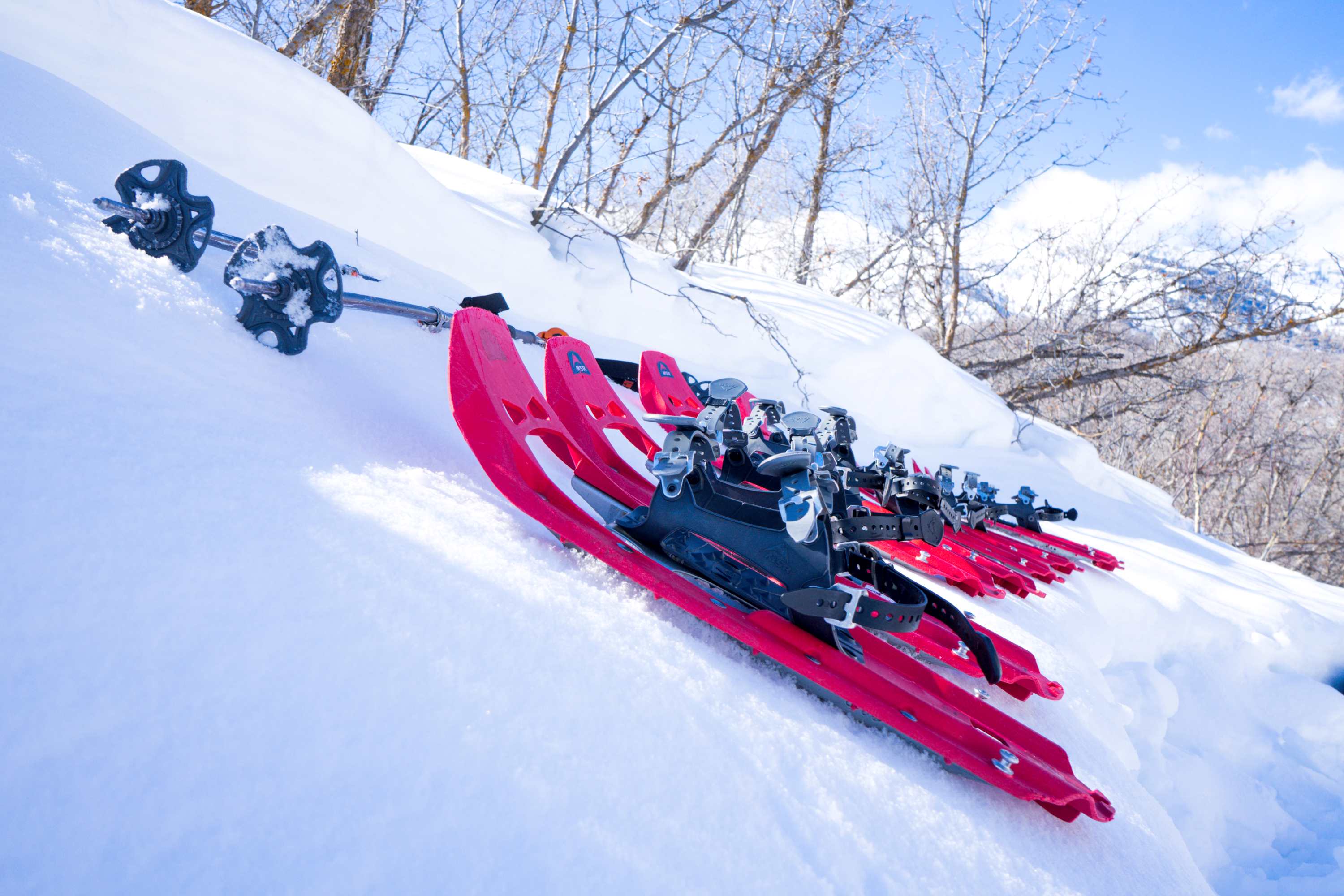 WTS - Morning Snowshoe - 2/8/2025