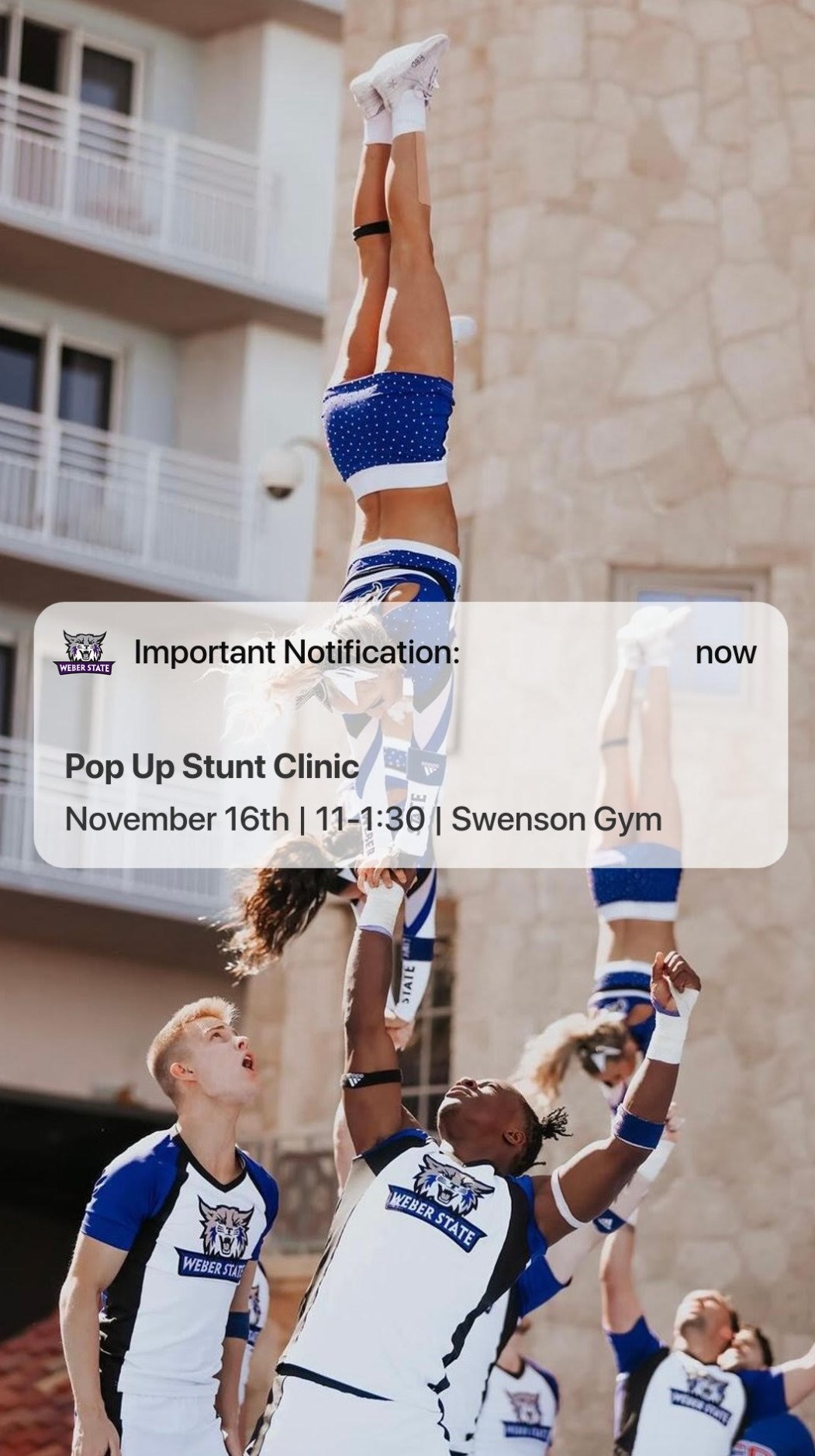 Pop Up Cheer Clinic - November 16, 2024