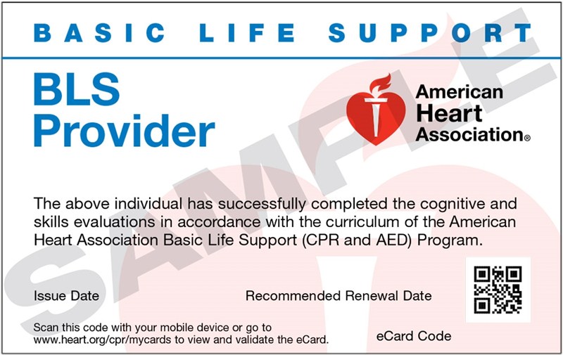 BLS Cards