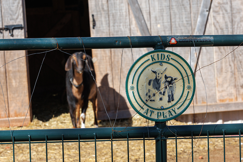 Farm Transition Workshop Registration - Ardmore &ndash; 9/25/26 for Two Family Members - $130.00 ($65.00 per person) Cost increases to $100.00 per person after September11.