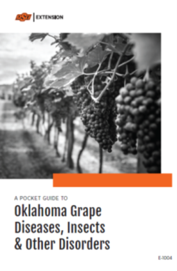 E-1004 Pocket Guide to OK Grape Diseases, Insects & Other Disorders