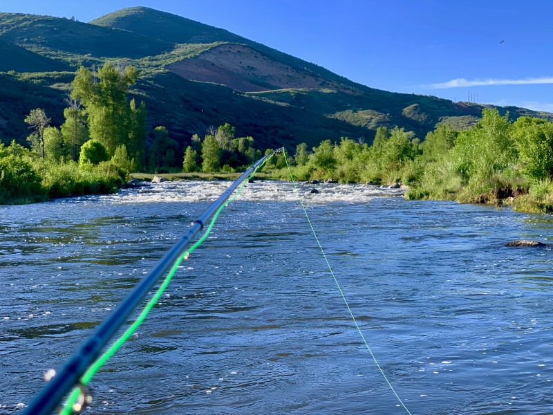 Intermediate & Advanced Fly Fishing