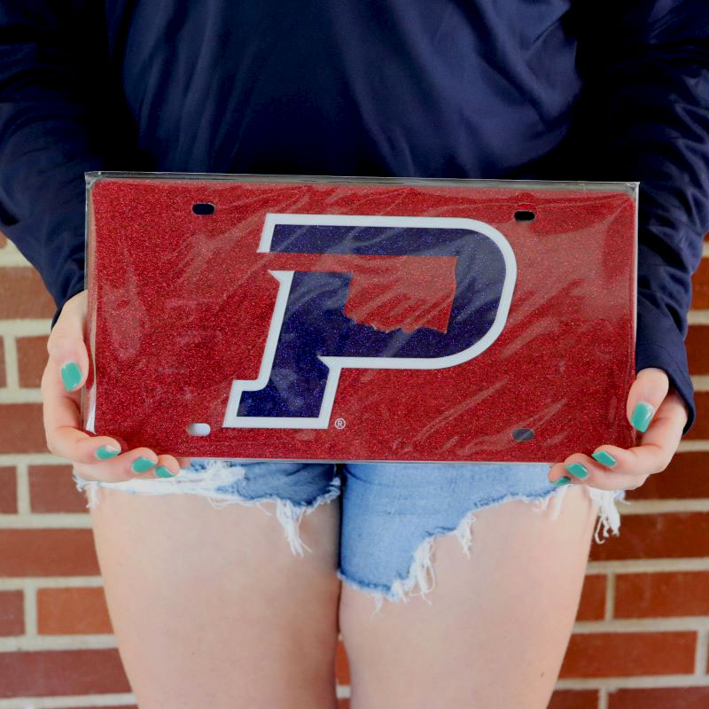 Glitter License Plate