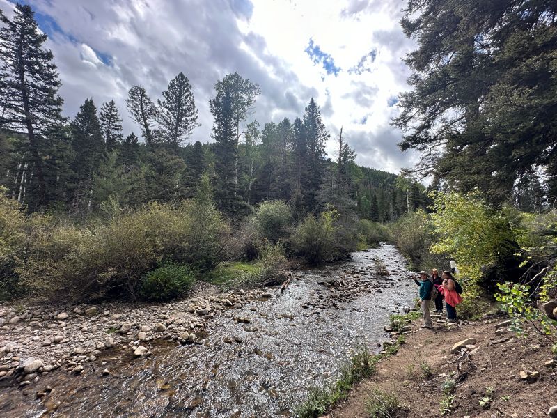 Adventures in New Mexico