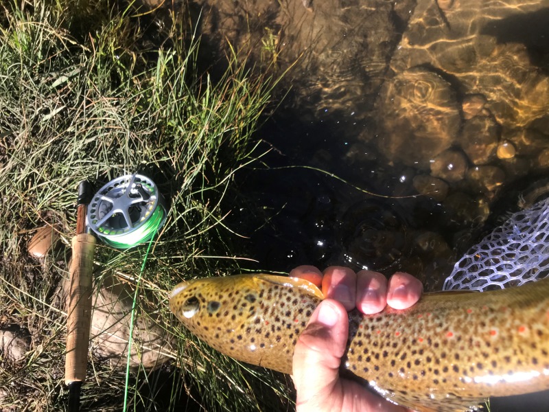 Beginning Fly Fishing