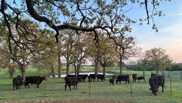 Farm Transition Workshop Registration - Lawton for One Family Member-10/28/26 - $75. Cost increases to $100.00 per person after October14.