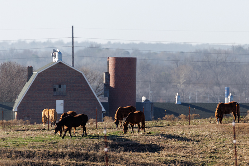 Farm Transition Workshop Registration  - Guymon - 8/28/26 for One Family Member - $75. Cost increases to $100.00 per person after August 26.