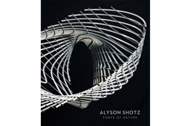 Alyson Shotz: Force of Nature