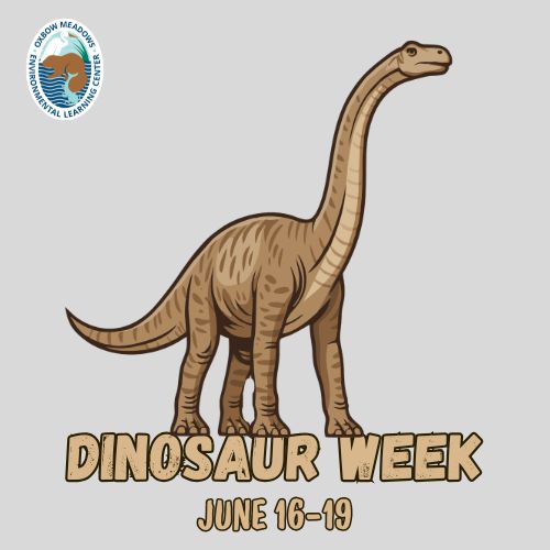 Dinosaur Week