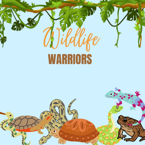 Wildlife Warriors | April 3nd 10:00am