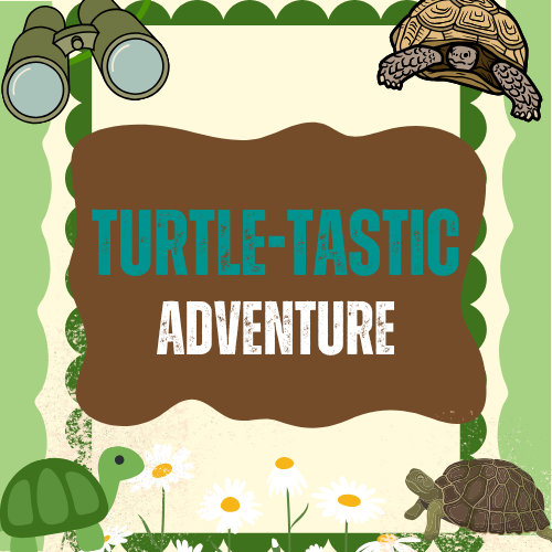 Turtle-Tastic Adventure | June 23rd and June 25th @ 11:15 AM