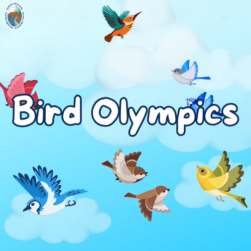 Bird Olympics | June 27th @ 9:30 AM, July 7th and 10th @ 1 PM