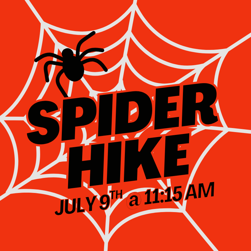 The Spider Hike | July 9th @ 11:15 AM