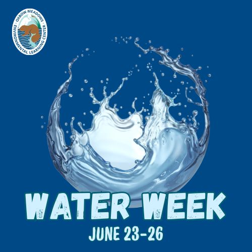 Water Week