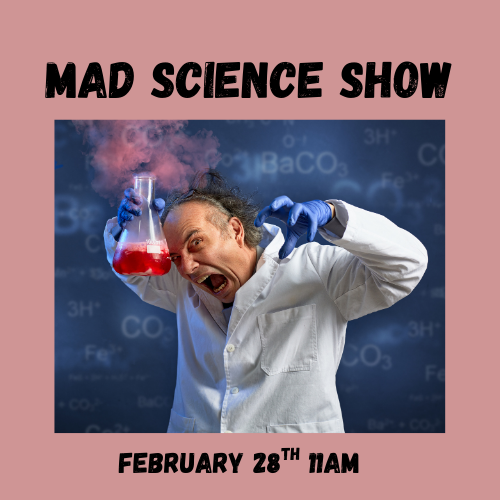 Mad Science Show February 28th @ 11 AM
