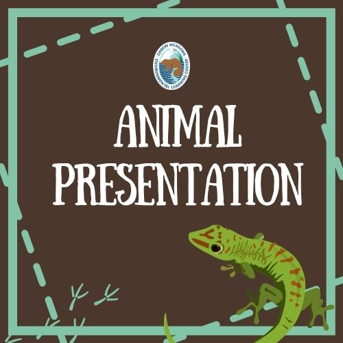 Scaley and Slimy Animal Presentation | August 29th @ 1:30 PM