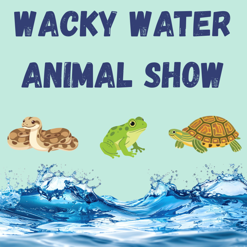 Wacky Water Animal Show! June 23rd @ 10 AM