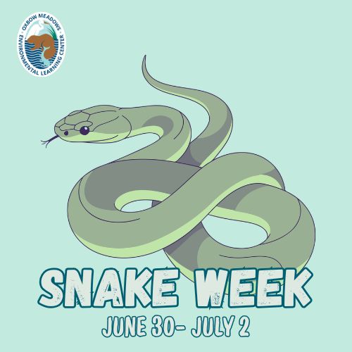 Snake Week
