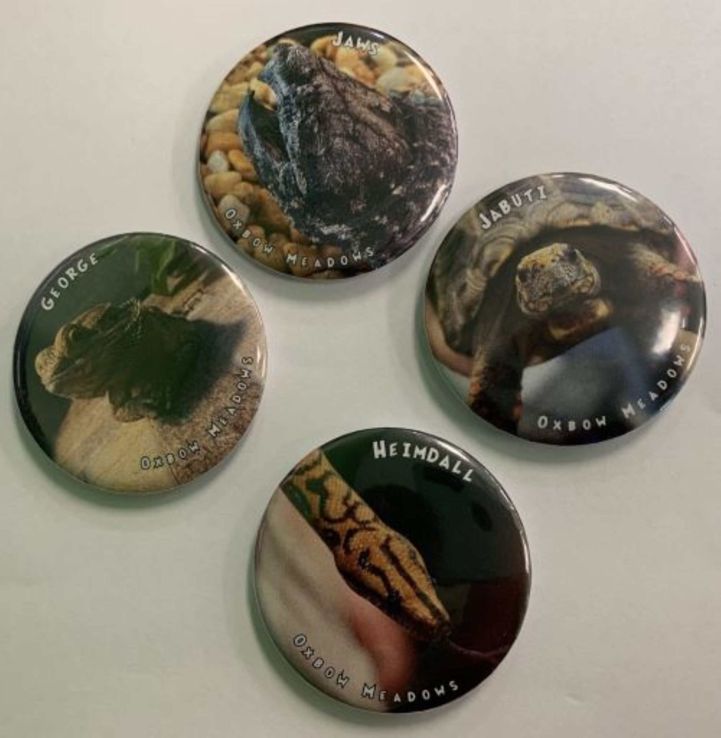Animal Ambassador Buttons
