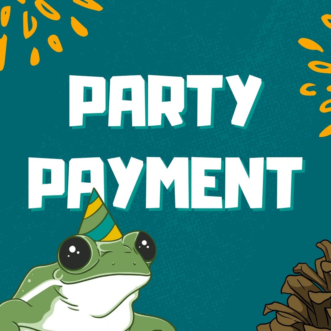 Birthday Party Activity Final Payment