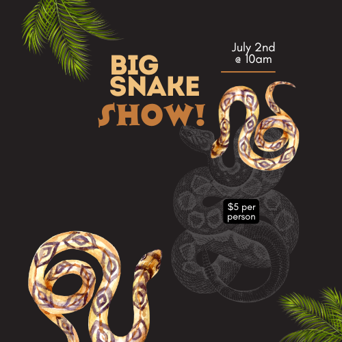 Big Snake Show!  July 2nd | 10 AM and 11:30 AM