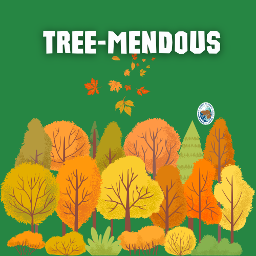 Tree-mendous: November 23, 2024, at 1-2 pm