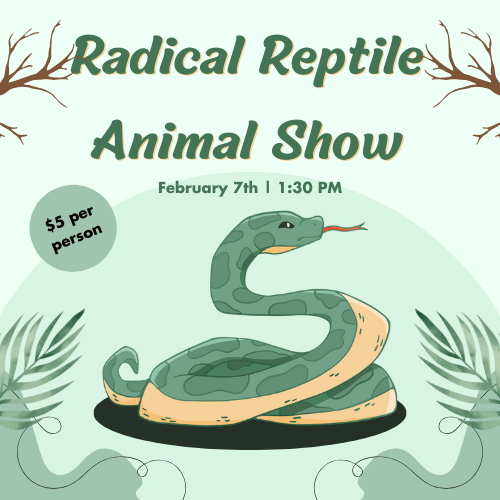 Animal Show:  Radical Reptiles | February 7th 1:30 PM