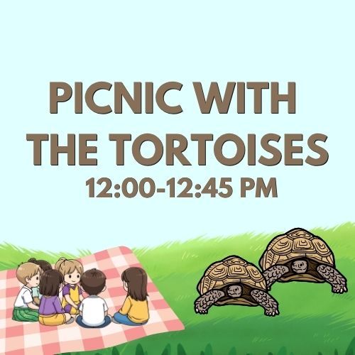 Hooray for Turtle Day: Picnic with the Tortoises