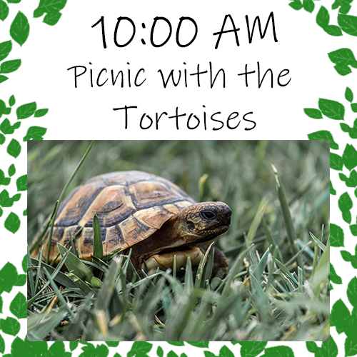 Wednesday, April 5th: 10:00am Breakfast with the Tortoises