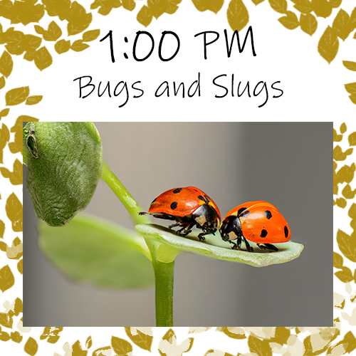 Wednesday, April 5th: 1:00pm Bugs and Slugs