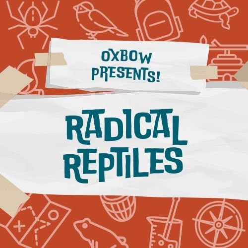 10:00am Oxbow Presents: Radical Reptiles